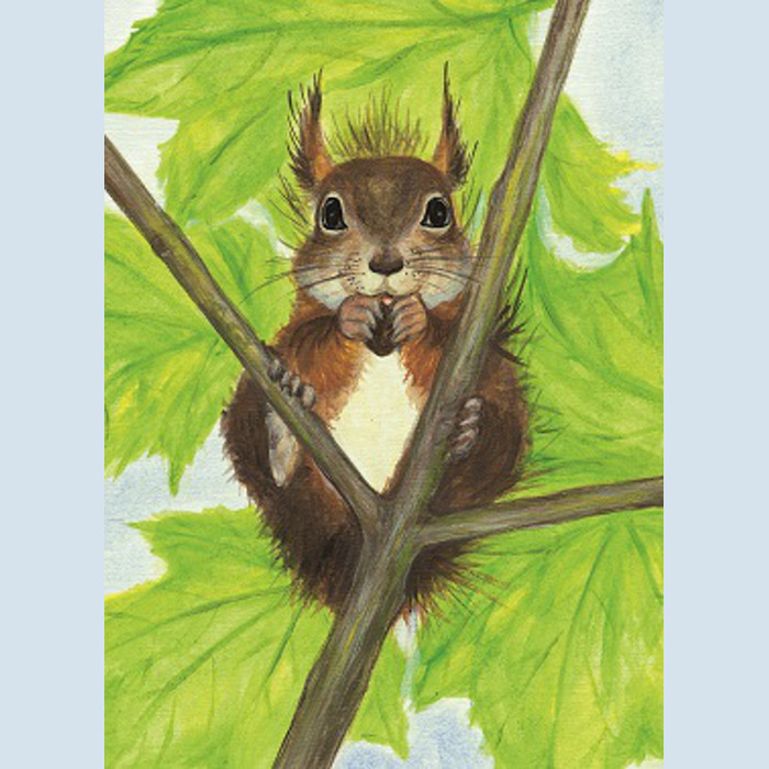 Kunstpostkarte - Eichhörnchen, Mellinger