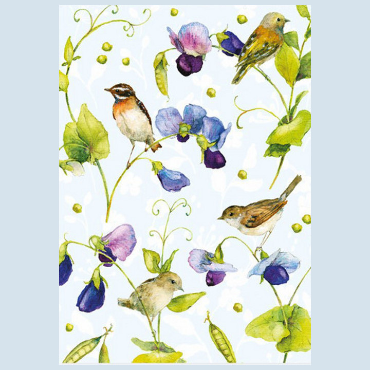 Grätz Verlag - Postkarte - Zaubererbsen mit Vögeln