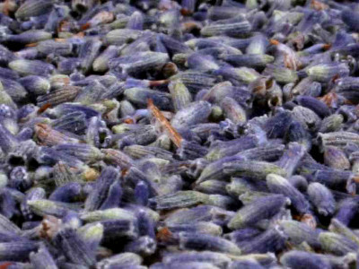 mudis - Füllung für Kissen, Stillkissen - Lavendelblüten, 100g