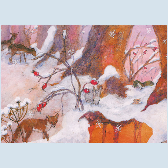 Postkarte - Fuchs im Schnee - Waldow Verlag