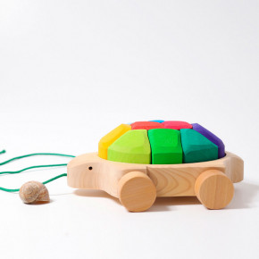 Grimms - Rainbow Turtle