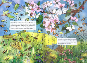 Kinderbuch - Schau was machen die Bienen, Loewe