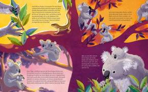Kinderbuch - Der kleine Koala, Magellan