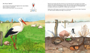 Kinderbuch - Was macht der Storch im Winter - neunmalklug